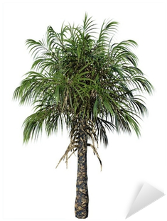 Vinilo Pixerstick Ilustración Realista De Palmera • - Funeral (400x400)
