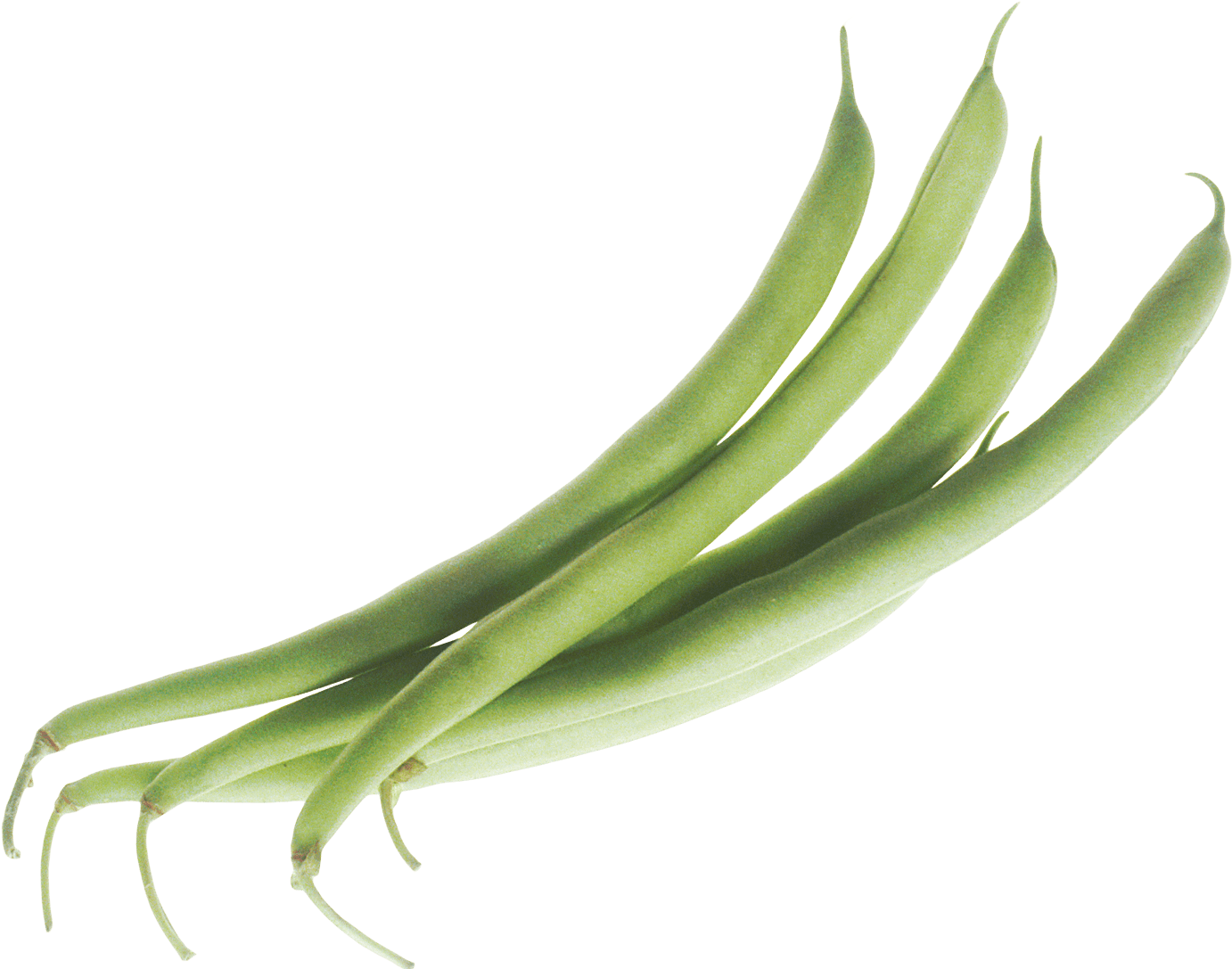 Butter Beans Transparent Png Stickpng - Green Beans Png (1425x1173)