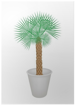 Póster Ilustración De Una Palmera En Maceta Del • Pixers® - Flowerpot (400x400)