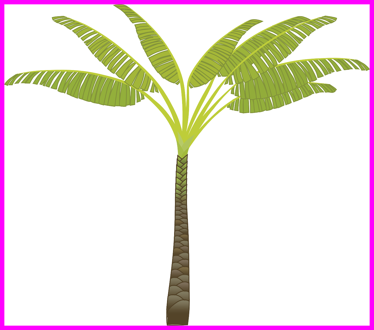 Stunning Island Palm Tree Leaves Plant Jungle Pa Pict - Tribe Has Spoken. Mug (1310x1158)