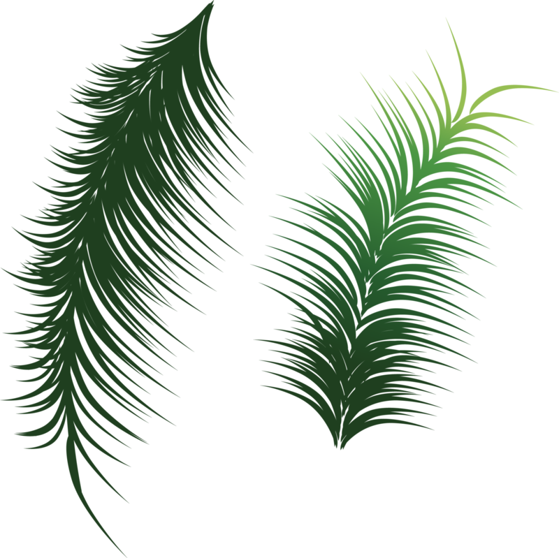 Arecaceae Leaf Coconut Clip Art - 2017 Personality Acrylic Fruit Pendientes Big Earrings (800x799)