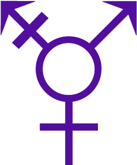 I Am For Sure Gettting This Transgender Tattoo, Equal - Symbols That Mean Equal (432x439)