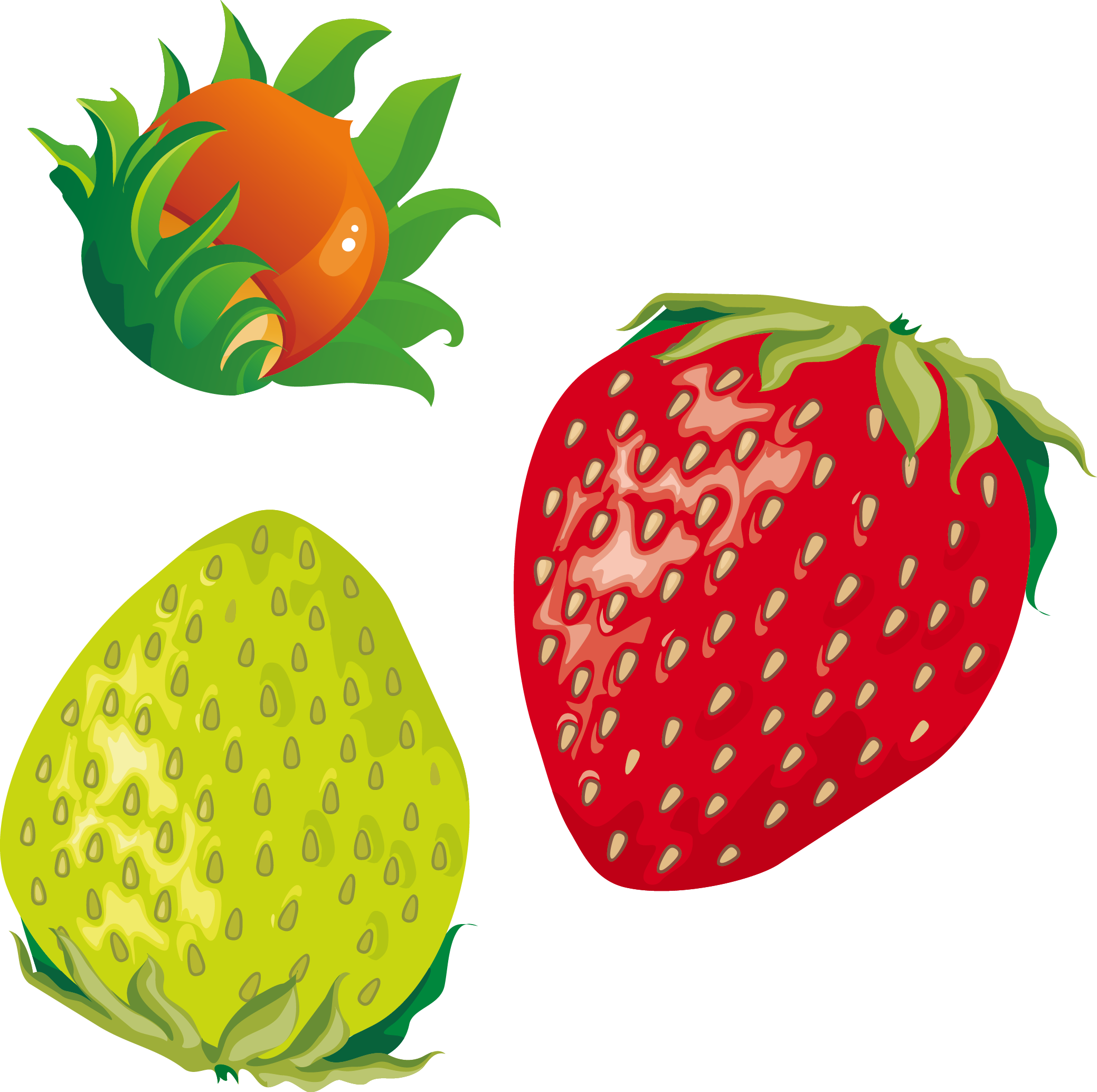 Strawberry Plum Fruit - Fruit (2078x2068)