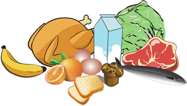 1 - Meat And Vegetables Clipart (620x363)