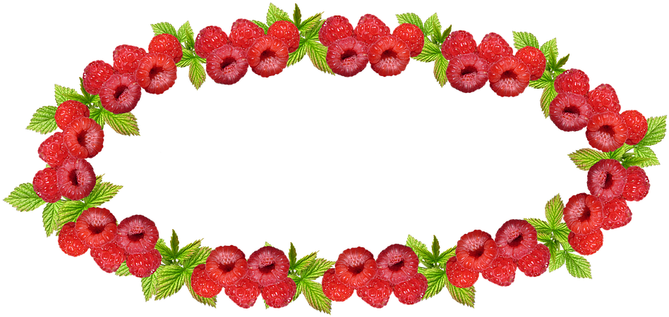 Strawberry Border Free Vector Download For - Raspberry Border Png (960x461)