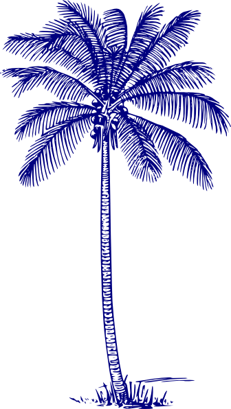 Outline Picture Of Coconut Tree (336x596)