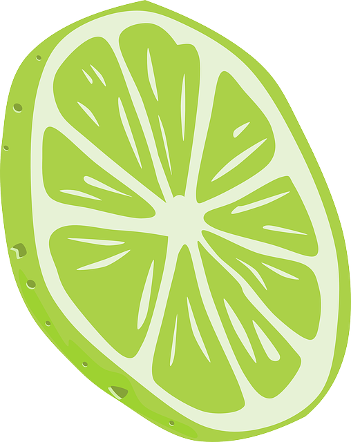 Tomato Green, Food, Slice, Fruit, Cartoon, Lemon, Lime, - Orange Peel Vector Png (508x640)