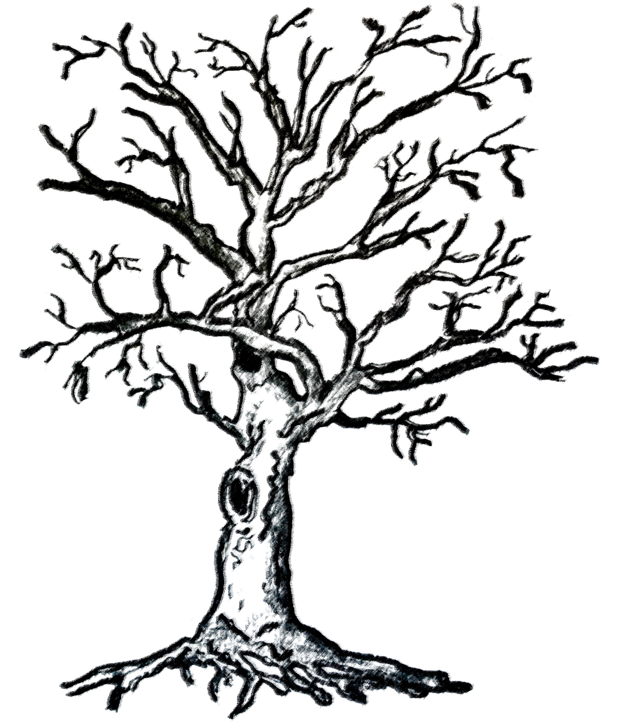 Dead Trees - Pond Pine (1280x1707)