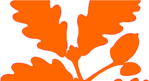 National Park Logo Uk (587x308)