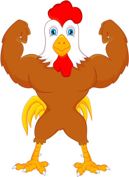 Chicken Cartoon Rooster Illustration - Chicken Strong Cartoon - (577x800)  Png Clipart Download