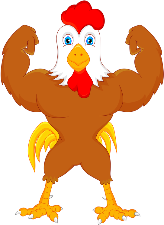 Chicken Cartoon Rooster Illustration - Chicken Strong Cartoon (577x800)