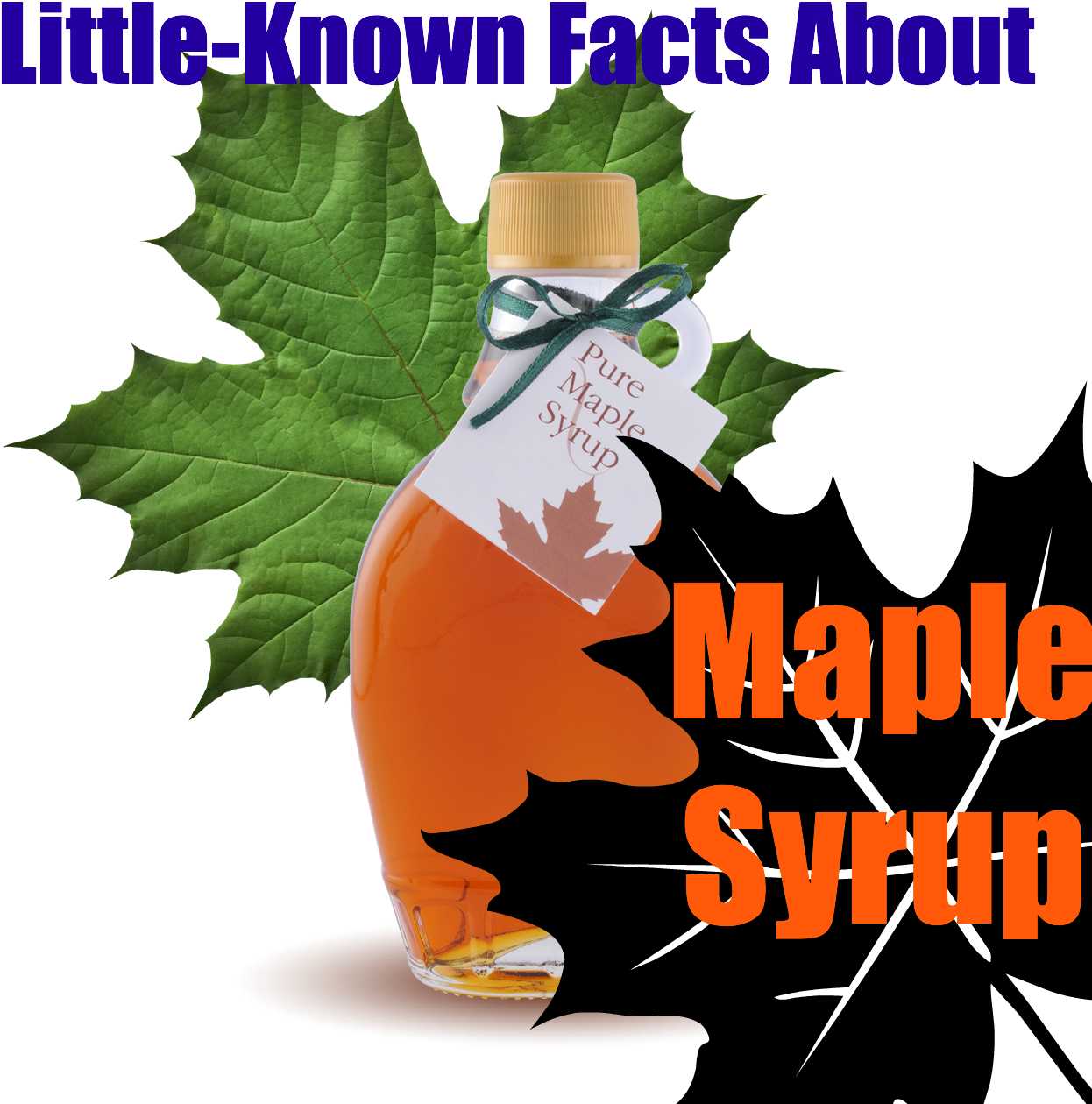 Facts About Maple Syrup - Facts About Maple Syrup (1280x1280)