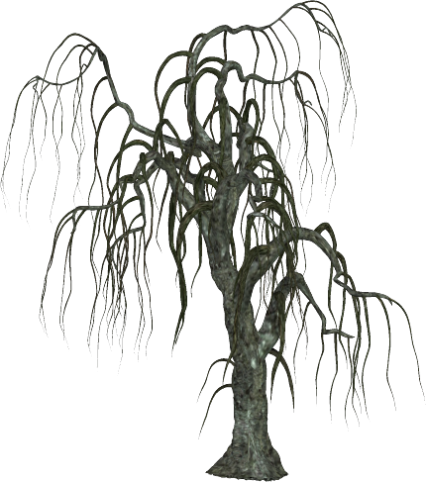 Browse And Download Halloween Tree Png Pictures Image - Halloween Tree Clipart Transparent Background (426x482)