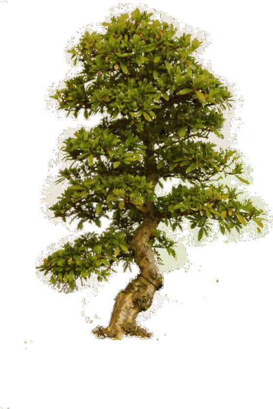 Zip File Link Is In The End Of The Post - All Png And Background Download (634x837)