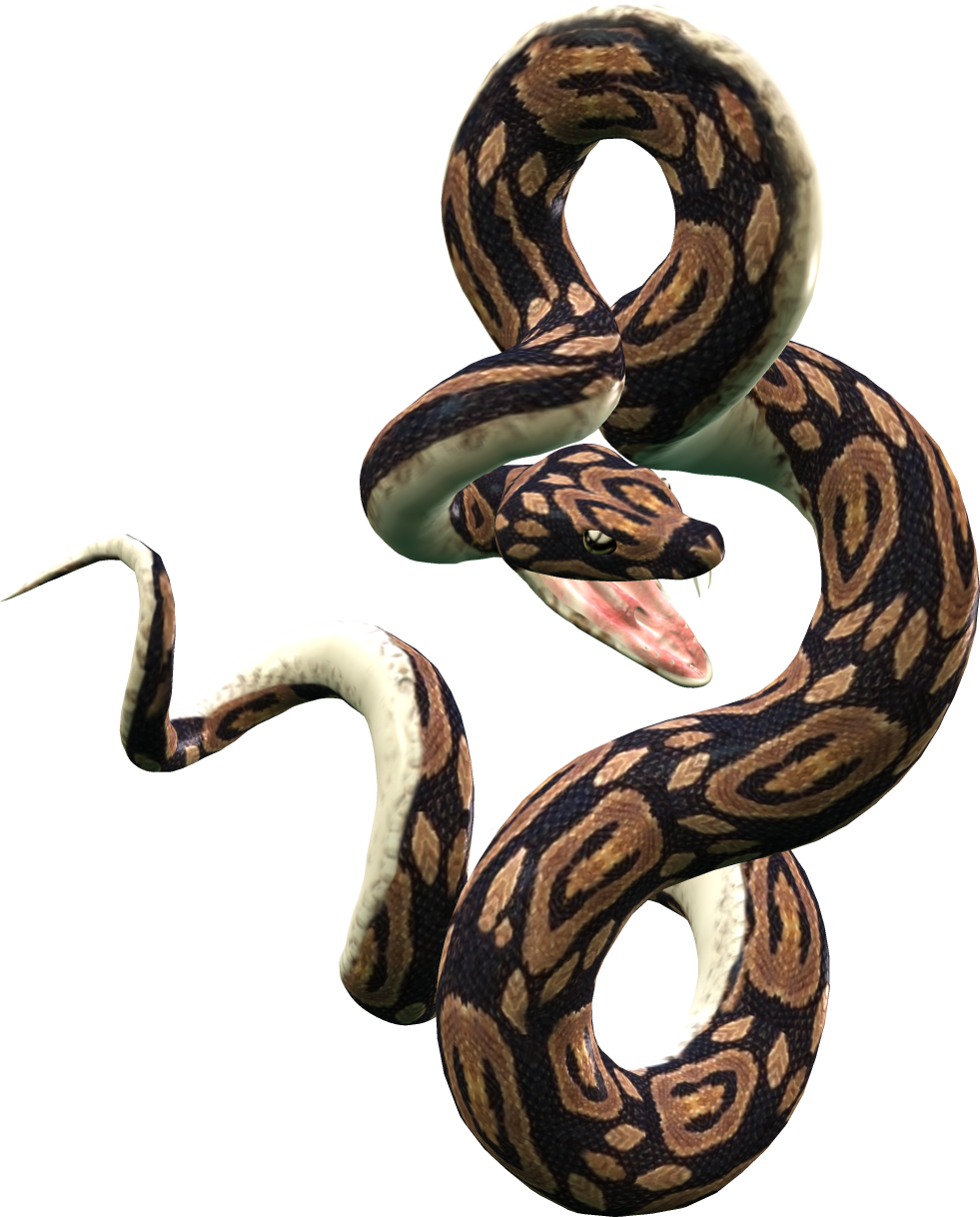 Snake Png Image Picture Download Free - Snake Png (981x1218)