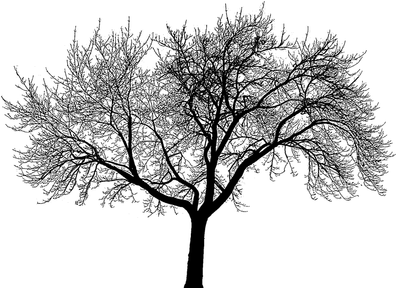 We Can T Choose Where We Come (800x600)