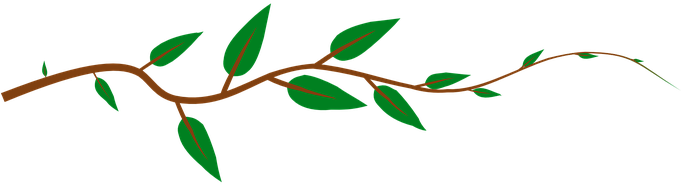 Vine Leaves Green Plant Vine Vine Vine Vin - Leaves On A Stick (680x340)