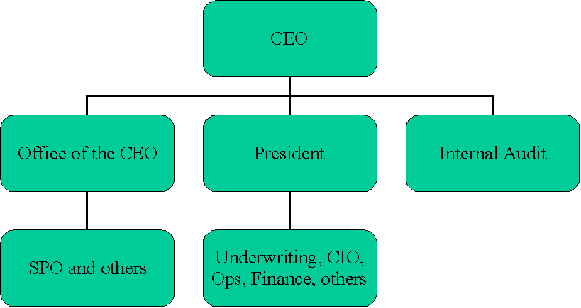 Strategic Project Management Org Chart - Chart Of Organization Management (819x435)
