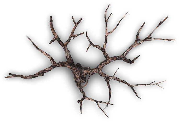 Edited By Cryogenes On 12/21/2006 At - Pond Pine (700x700)