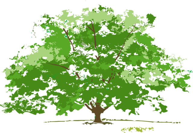 S, Resolution, Lemon Tree, Photos Collection - Four Seasons Clip Art (640x444)