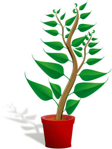 Grüne Pflanze Topf Vektor-illustration - Getting To Know Plants (377x500)