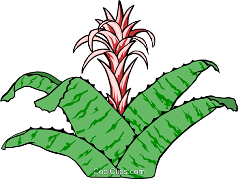 Pflanzen Vektor Clipart Bild - Pflanzen Vektor Clipart Bild (480x361)