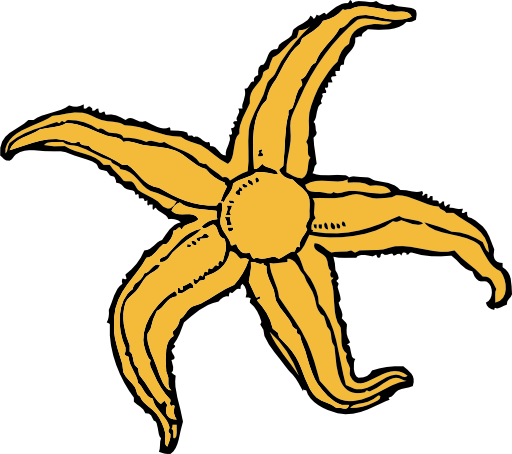 Starfish - Starfish Clip Art (844x750)
