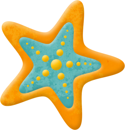 Ljd Wos Starfish Orange - Star Fish Png Hd (481x500)