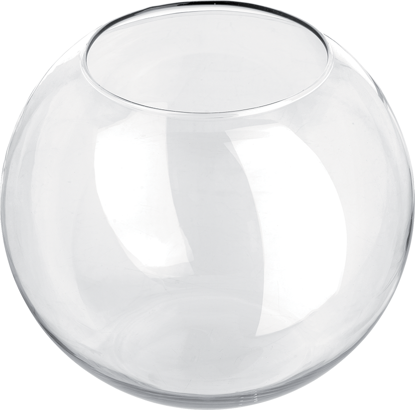 Bol Aquarium Ø 30cm - Bowl (827x818)