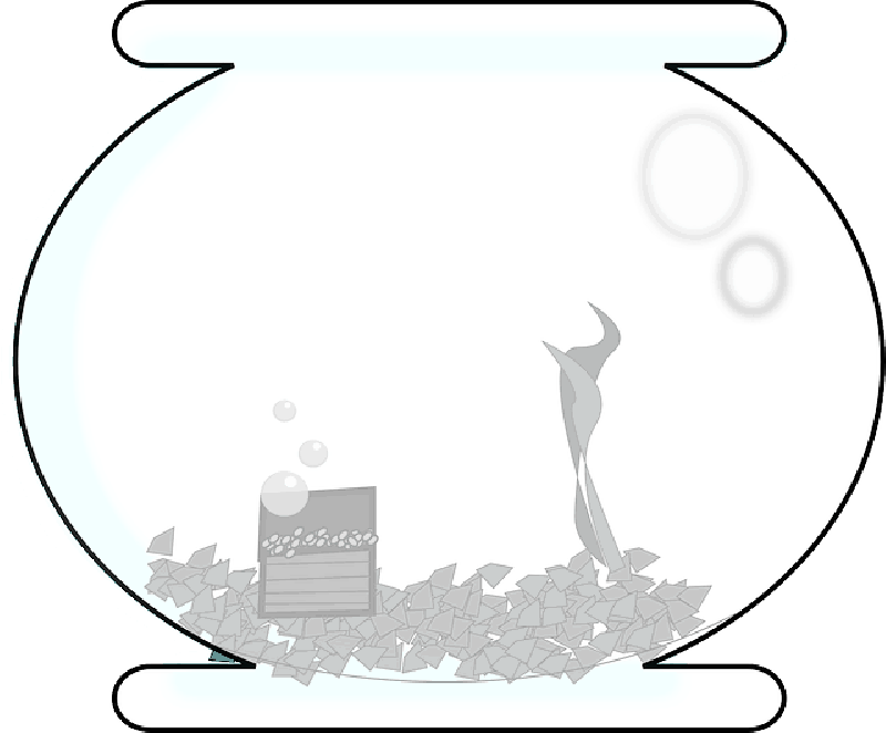 Aquarium, Fishbowl, Goldfish, Glass, Round - Illustration (800x662)
