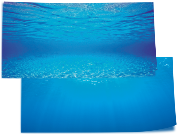 Die Wasserunempfindliche Folie Wird Einfach Hinter - Aquarium Poster Juwel (588x588)