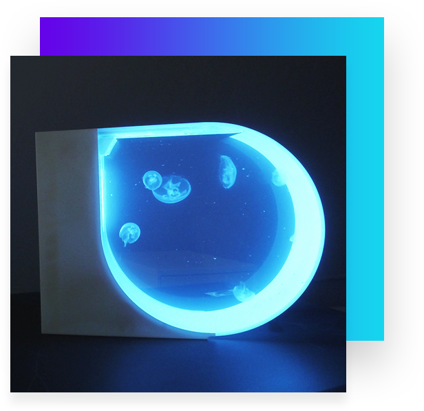 Jellyfish Tank Live Pet Desktop Aquariums - Jellyfish Tank (616x597)