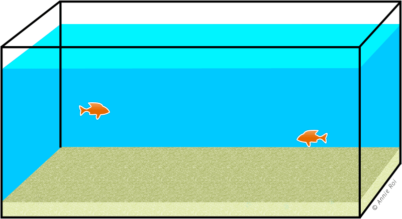 Combien D'eau Faut-il Changer À Chaque Fois - Poison Dans L Eau Gif (800x437)