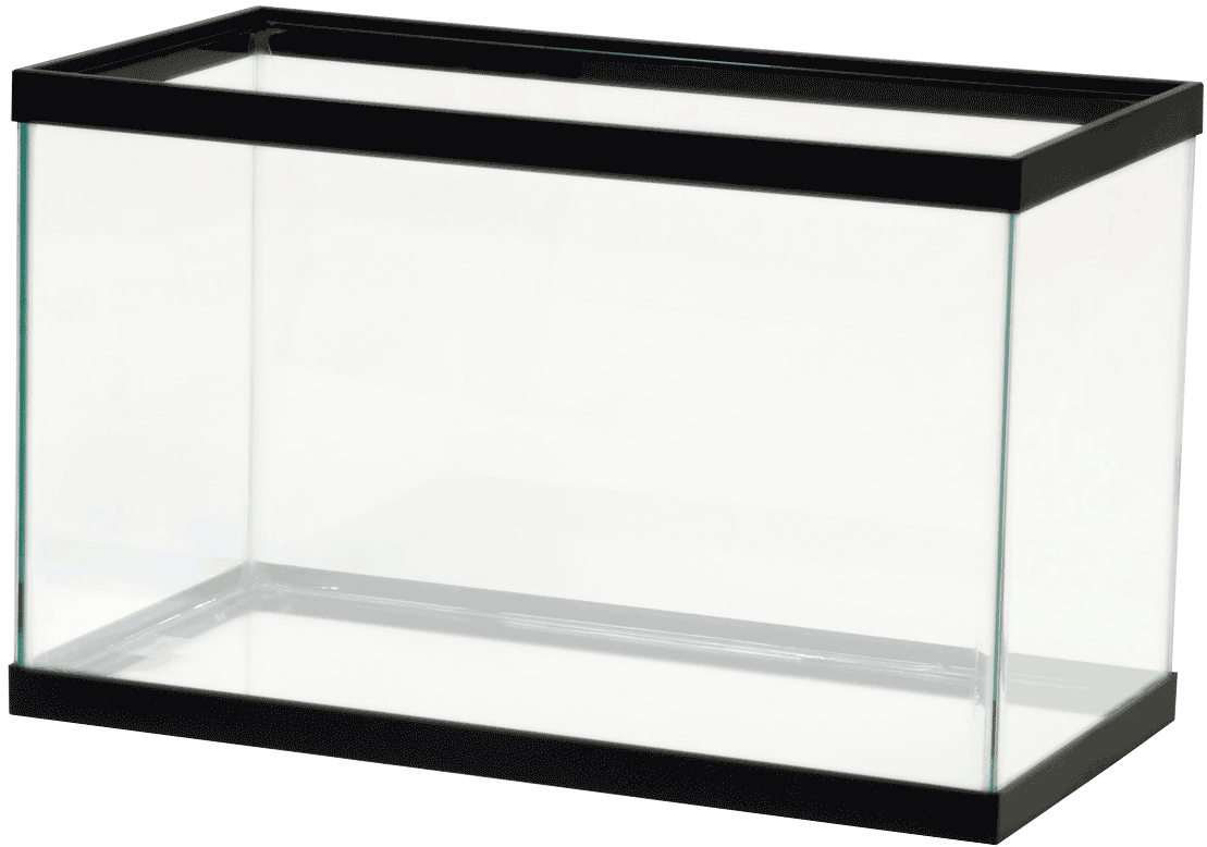 Our Services - 10 Gallon Fish Tank (1109x778)