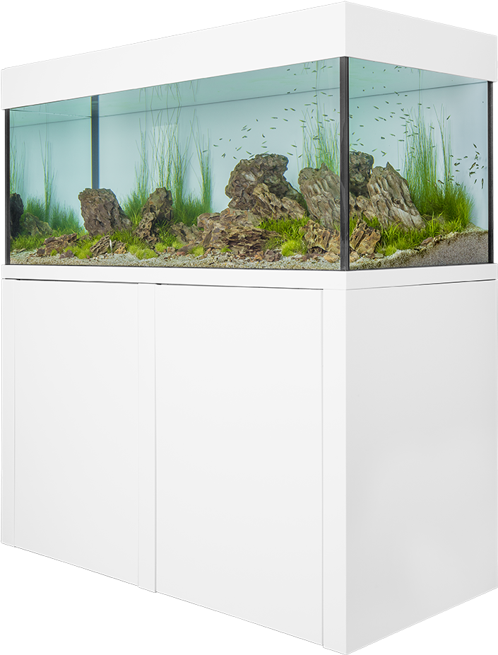 Our Vision And Services - Public Aquarium (774x968)