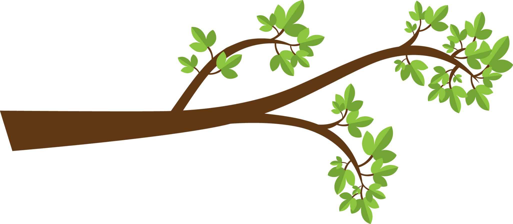 Tree Branches Clip Art - Turtle In A Tree [book] (2052x896)