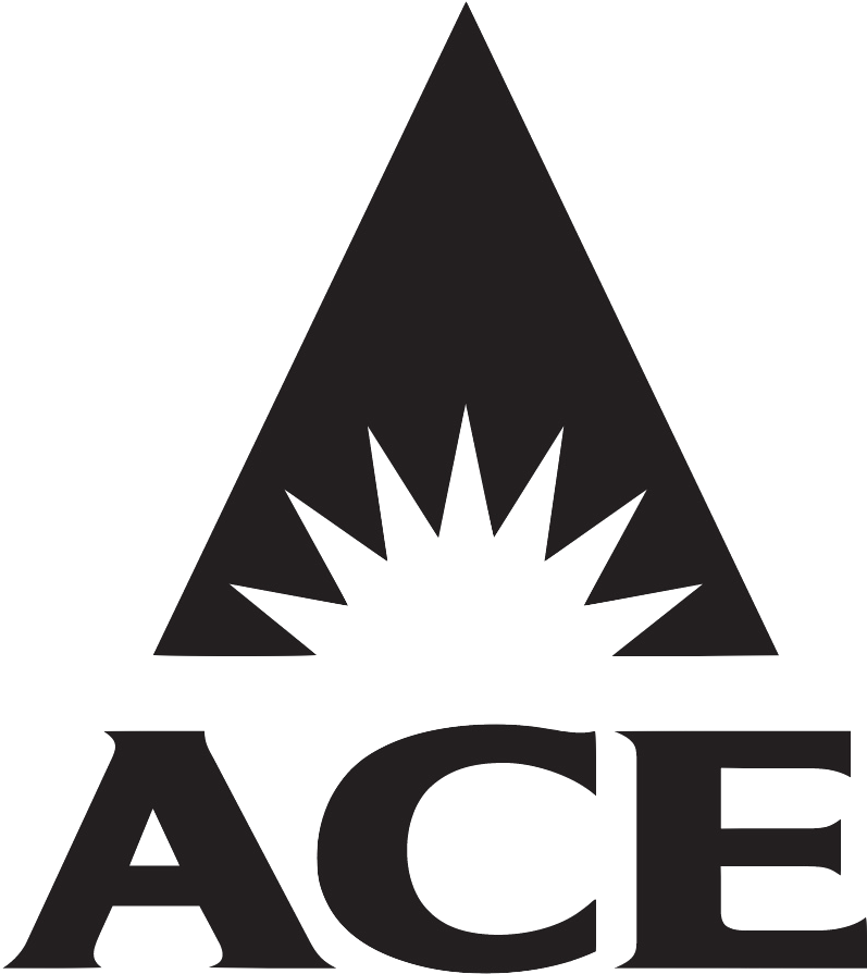 Ace Logo, Bing Images - Triangle (833x941)