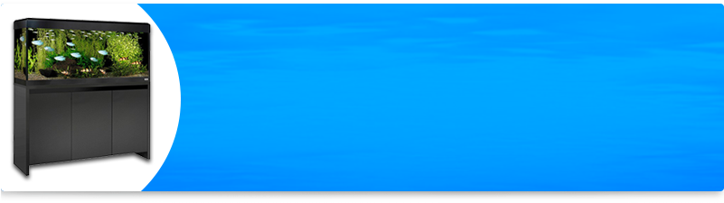 Aquarium & Meuble Pour Poisson - Fluval Roma 240 Led Aquarium Set And Cabinet - Black (800x255)