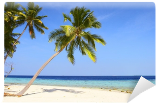 Palmeras En La Playa (400x400)