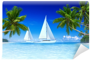 Sailboats On Beach And Palm Tree Wall Mural • Pixers® - Plane Flying Over Beach (400x400)