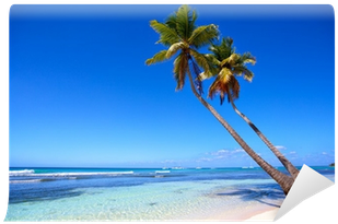 Tropical Sand Beach And Palm Trees Wall Mural • Pixers® - Wandtattoo Palmen Im Mittelmeer Pixxprint (400x400)