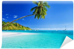 Palm Tree Hanging Over Lagoon With Blue Sky Wall Mural - Caribbean (400x400)