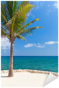 Idyllic Scenery Of Caribbean Sea With Lonely Palm Tree - Caribbean (400x400)
