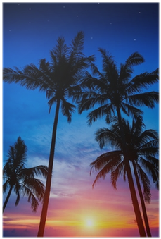 Palm Trees, Sunset And The Starry Sky Poster • Pixers® - Keep Calm & Dance In Ibiza - Various - Download (400x400)