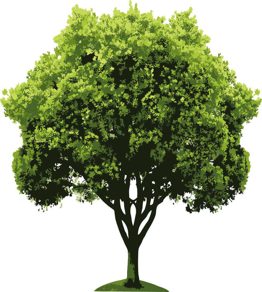 Árvores Em Png - Green Tree Shower Curtain (872x971)