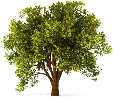 Curtido Curtir Compartilhar - Spiritual Strength For Each Day: 365 Daily Devotions (420x380)