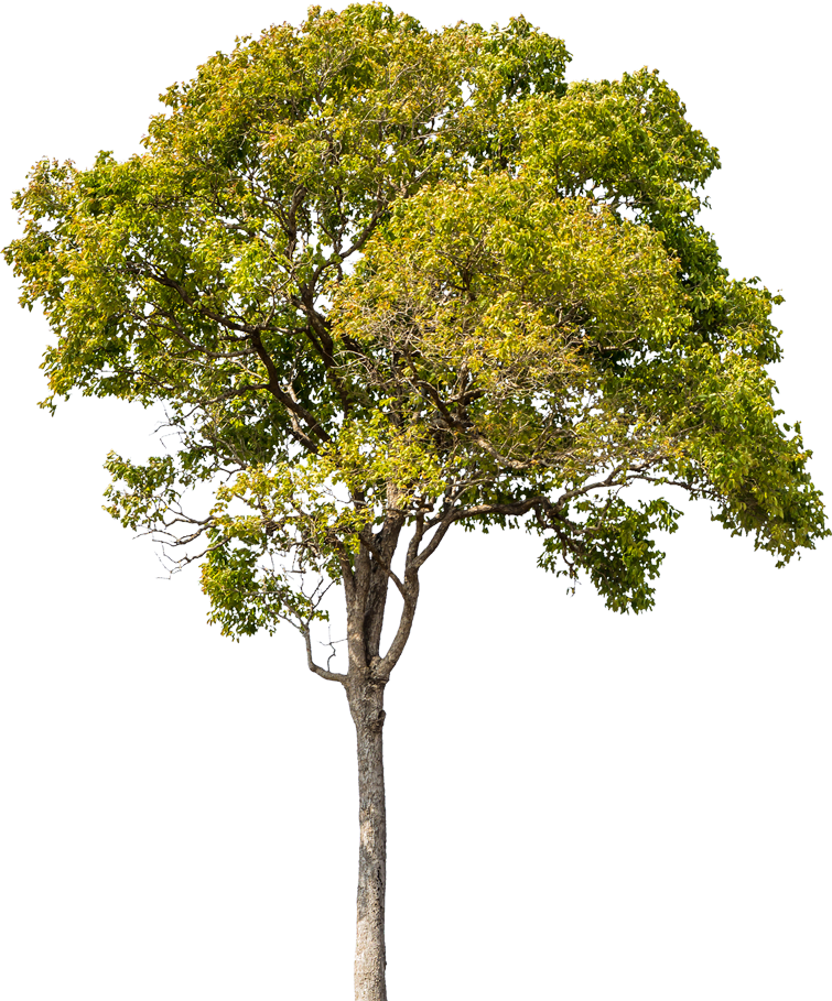 E Prepare-se Para Elevar Suas Emoções - E Prepare-se Para Elevar Suas Emoções (755x909)