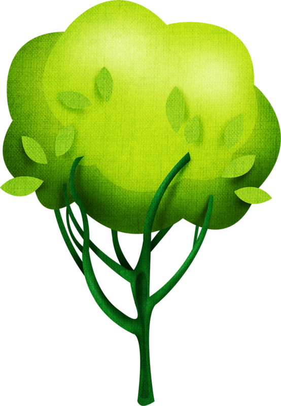 Plante Uma Árvore O Programa "arboriza Cerquilho" Apoia - Apple (554x800)