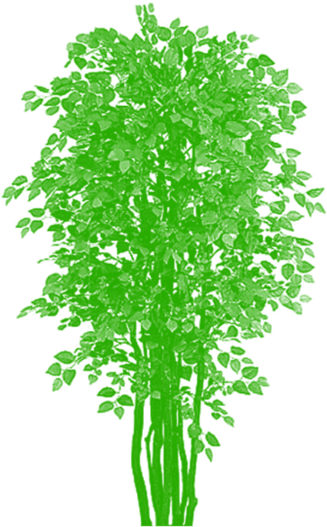 Tree Vector Clipart De Bambu Livre Png E Psd - Nearly Natural 5021 Bougainvillea Silk Tree Beauty, (640x640)