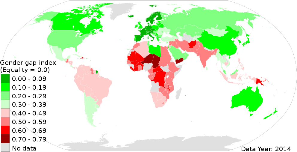 The Gender Inequality Index Represents The Loss Of - Countries Allied With North Korea (1000x513)